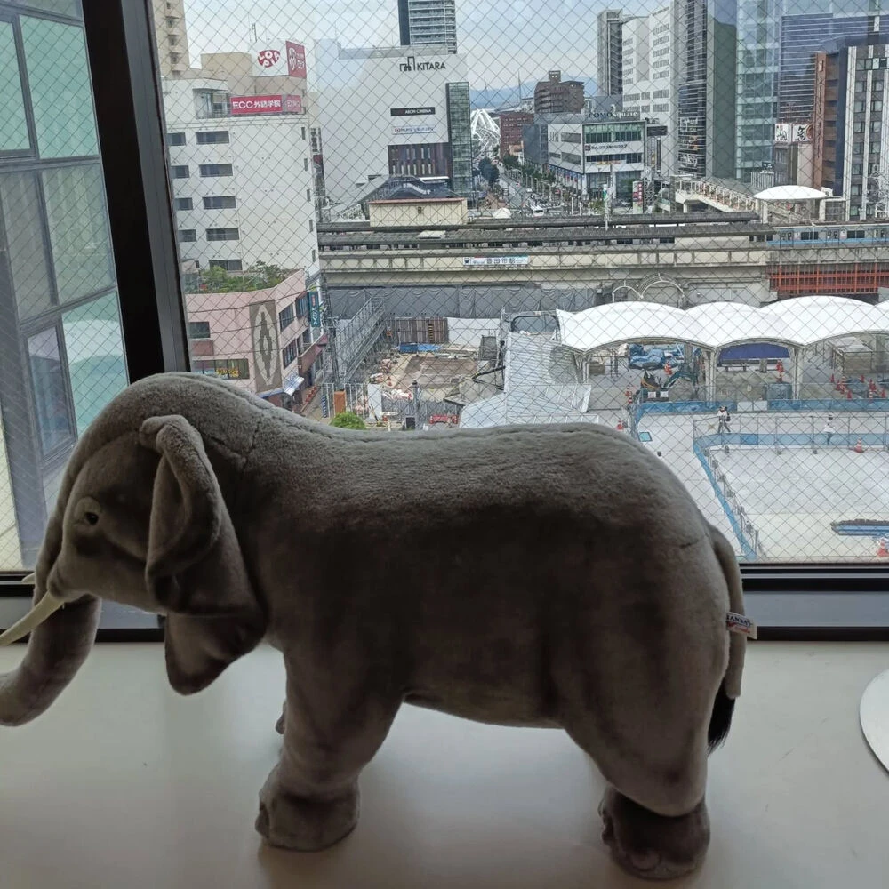 ブログ画像